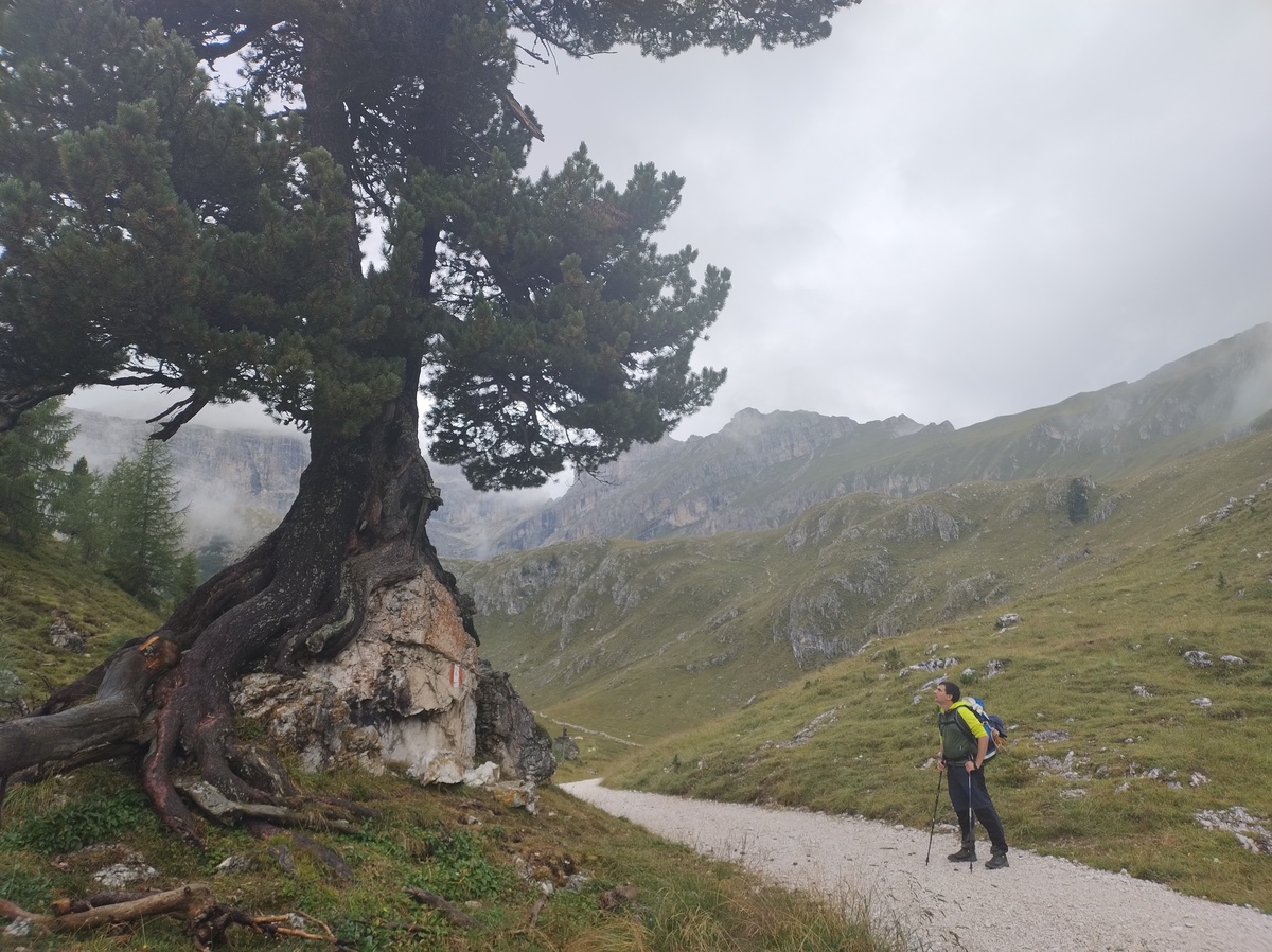 Me looking a tree