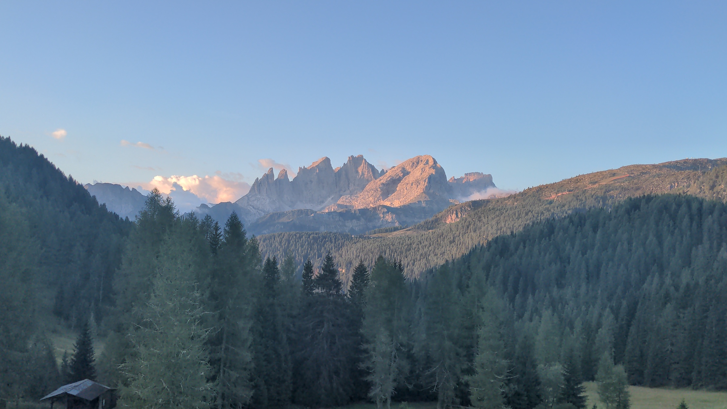 The Focobon group at dawn