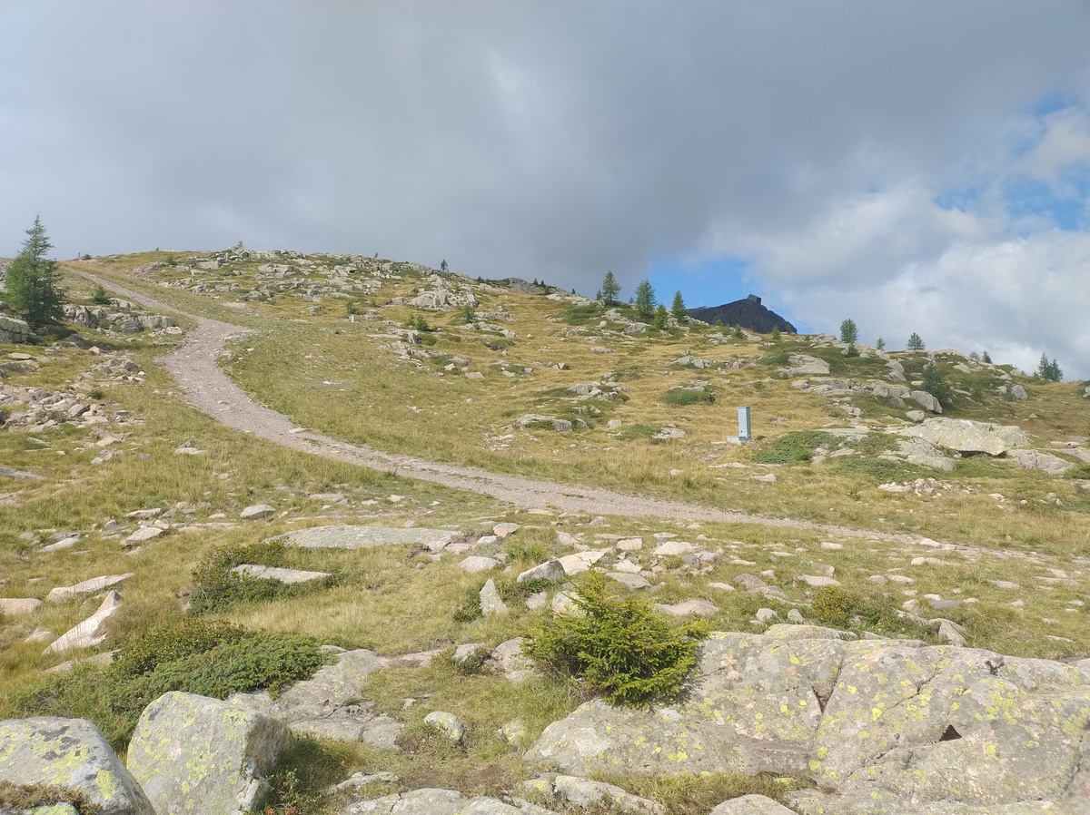 The rocky meadow