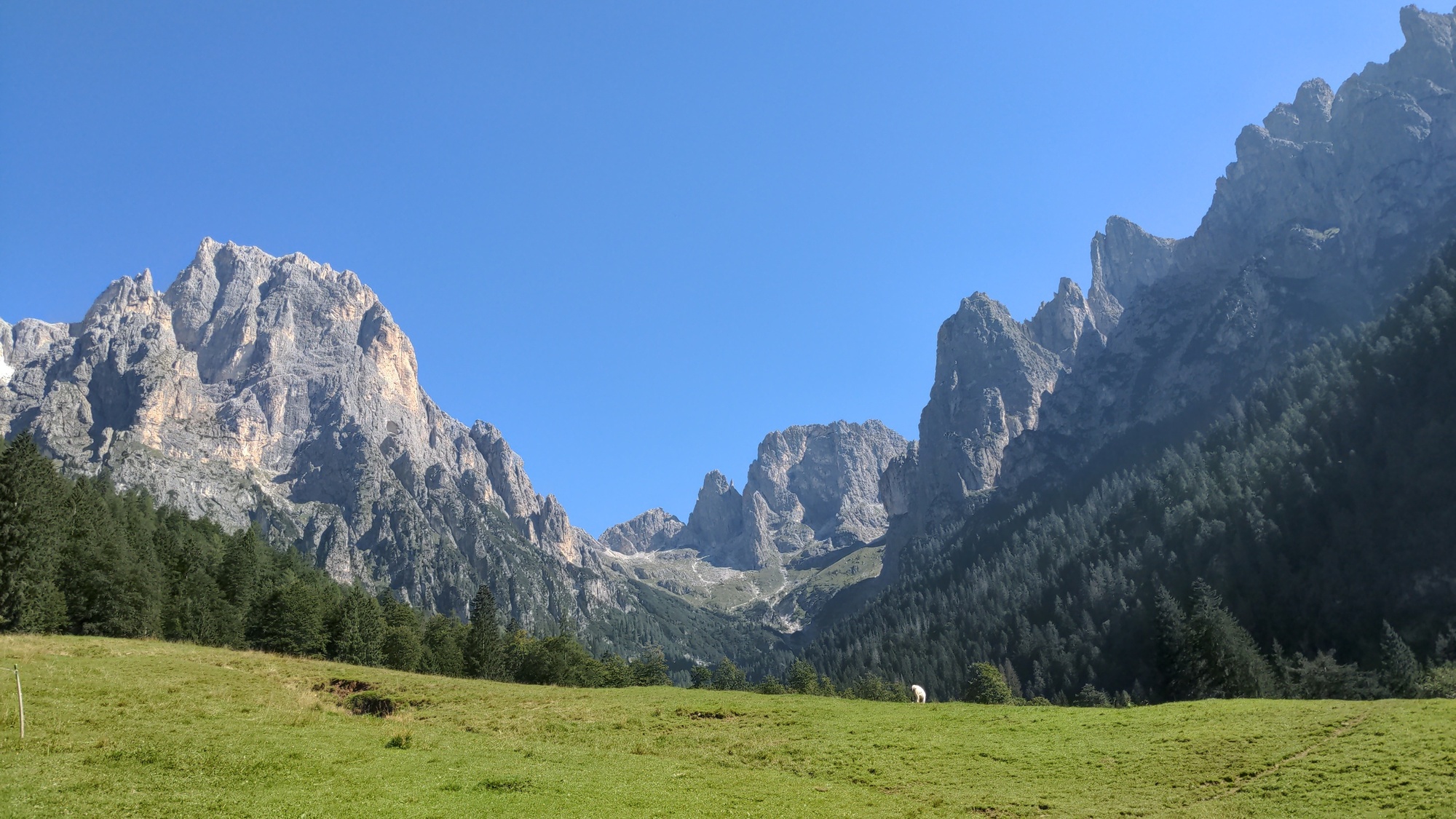 The pastures behind malga Canali