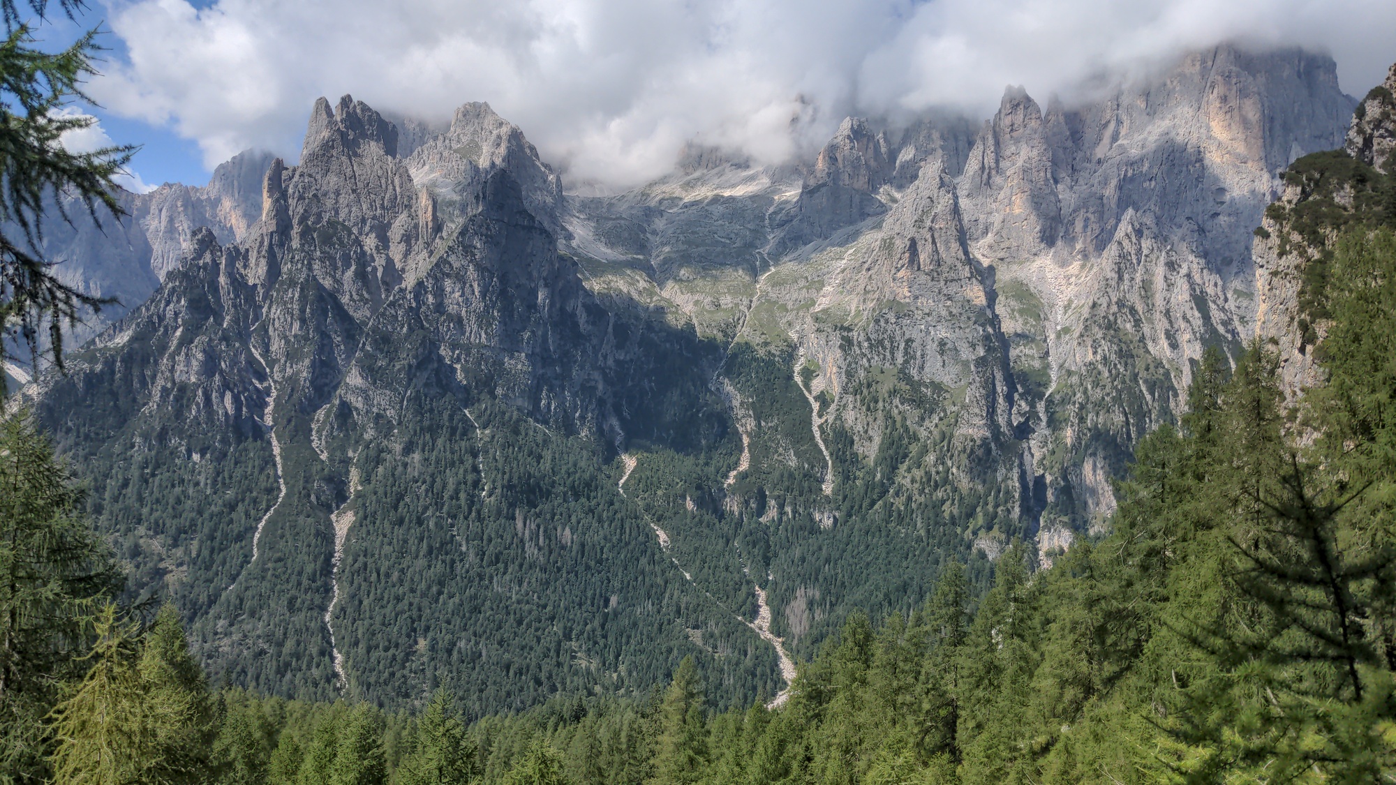 Forested mountains to the North-West